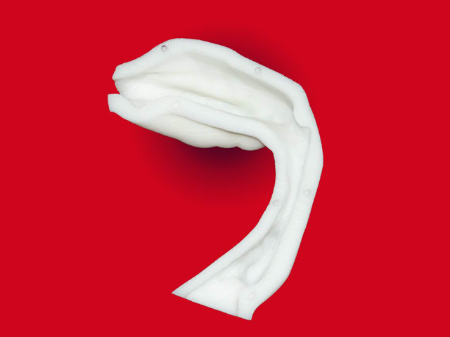 RP model of the human vocal tract produced for experimental purposes